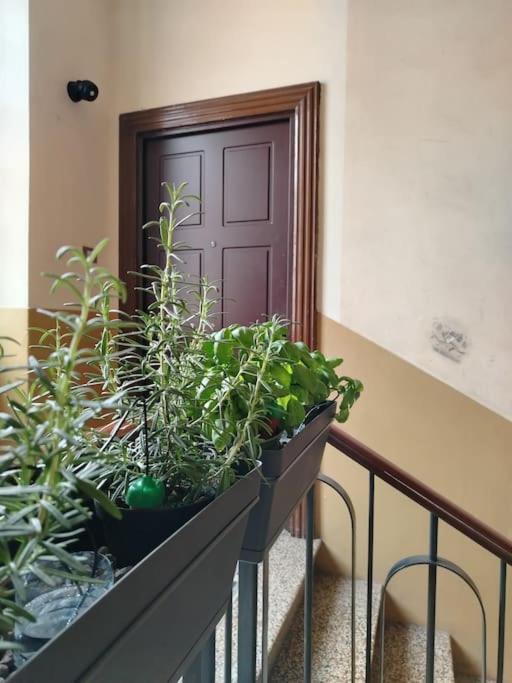 Bnb Citylifers Milano Eksteriør billede